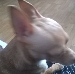 Meet your Posher, Debra